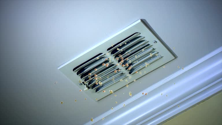 Best Affordable Duct Cleaning Services  in Marquette, MI